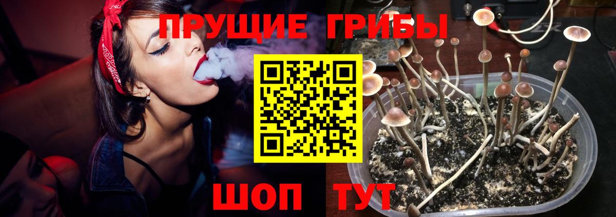 Псилоцибиновые грибы мицелий  Галлюциногенные грибы Magic Shrooms  Вход с VPN  как найти закладки  Кольчугино 
